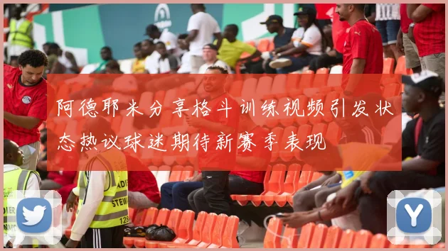 阿德耶米分享格斗训练视频引发状态热议球迷期待新赛季表现