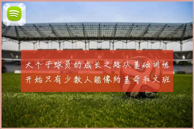大个子球员的成长之路从基础训练开始只有少数人能像约基奇和文班那样成功